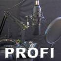 Profi-Mikrofon-Test