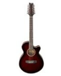 12 saitige Gitarre kaufen, stimmen & spielen