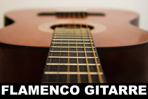 Flamenco Gitarre