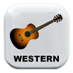 Die beste Westerngitarre kaufen Button