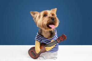 kleine Mini-Gitarre gespielt von Hund